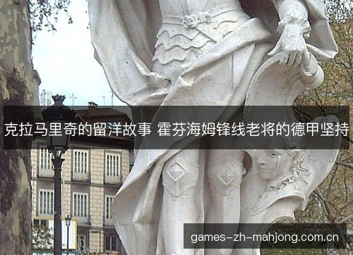 克拉马里奇的留洋故事 霍芬海姆锋线老将的德甲坚持 克拉马里奇的留洋故事 霍芬海姆锋线老将的德甲坚持